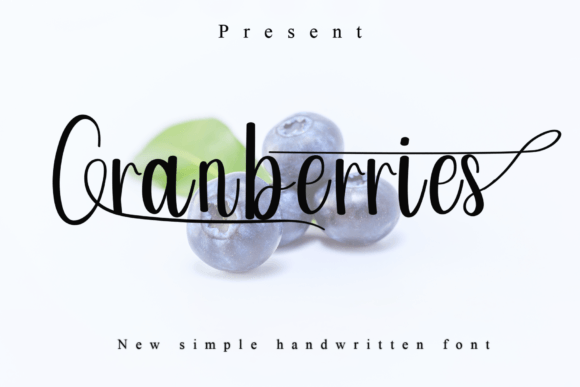 Cranberries Font: A Playful Typeface for Campaign Visuals