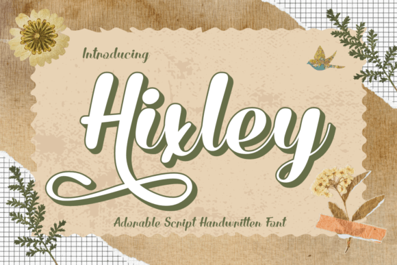 Hixley: A Charming Script Typeface for Modern Web Design