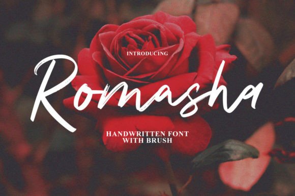 Why Romasha Became the Heart of My Latest Brand Identity Project