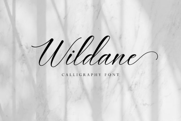Wildane: The Elegant Handwritten Typeface for Polished Branding